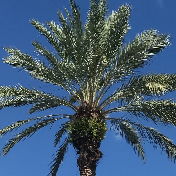 Meet your Posher, Caitlin - Picture 1 of 1